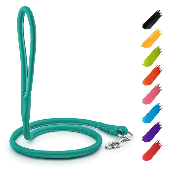 WAUDOG Rolled Leather Dog Leash 4Ft * 0.3 in for Small Medium and Large Dogs Heavy Duty Leather Puppy Leash for Outdoor Walking Running Training Strong Dog Leashes for Large Breed Dogs (Mint)