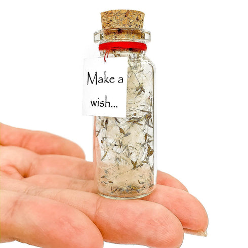 Tiny Magical Message in a Bottle Gift Idea Classy Inspirational Gifts for Him and Her Unique Presents for Women and Men (White Dandelion Make a Wish Gift Bottle)