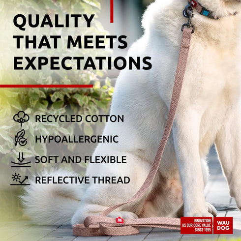Recycled Cotton Dog Leash 6 Ft 10 Ft Eco Friendly Collar for Small Medium & Large Dogs Reflective Dog Leash for Medium Dogs Strong Leashes for Large Breed Dogs Puppy Leash for Small Dogs