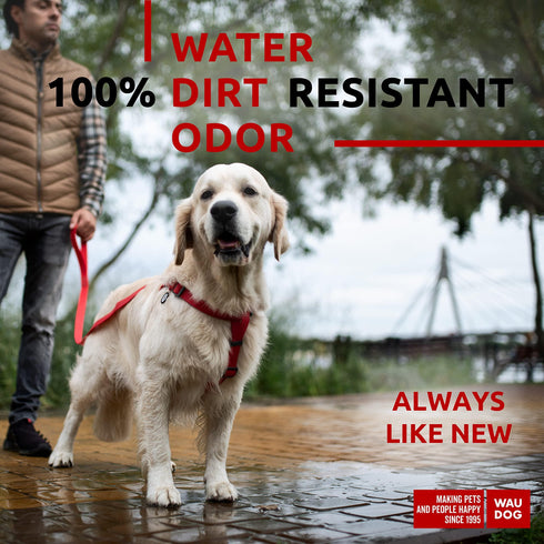 Waterproof Dog Harness Adjustable Dog Harness for Large Dogs Small and Medium Dogs Heavy Duty Dog Harness with Durable Metal Clasp and QR Dog Tag Boy & Girl Dog Harness Red (24 35in)