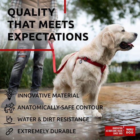 Waterproof Dog Harness Adjustable Dog Harness for Large Dogs Small and Medium Dogs Heavy Duty Dog Harness with Durable Metal Clasp and QR Dog Tag Boy & Girl Dog Harness Red (24 35in)