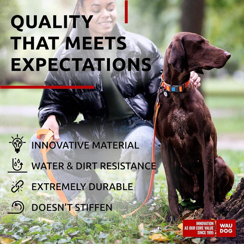 Waterproof Dog Collar Adjustable Dog Collar for Large Dogs Small and Medium Dogs Breakaway Dog Collar Waterproof with Plastic Buckle and QR Dog Tag Boy & Girl Dog Collars (Orange)
