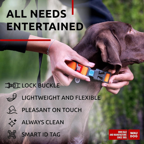 Waterproof Dog Collar Adjustable Dog Collar for Large Dogs Small and Medium Dogs Breakaway Dog Collar Waterproof with Plastic Buckle and QR Dog Tag Boy & Girl Dog Collars (Orange)