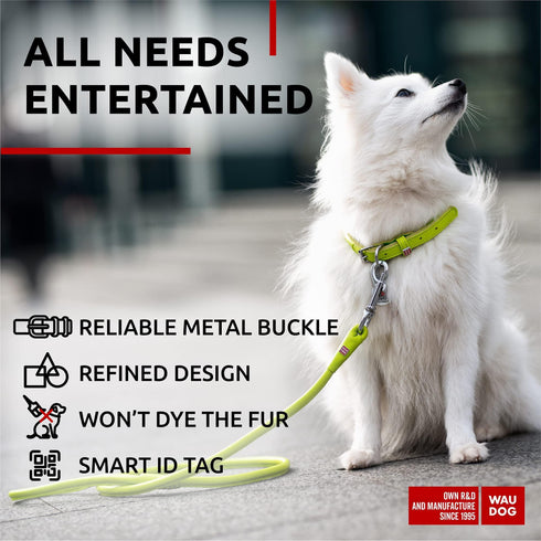 Ultra Soft Rolled Leather Dog Collar for Small Dogs Soft Padded Dog Collars for Medium Dogs Puppy Collars for Large Breed Dogs Male and Female Dog Collar