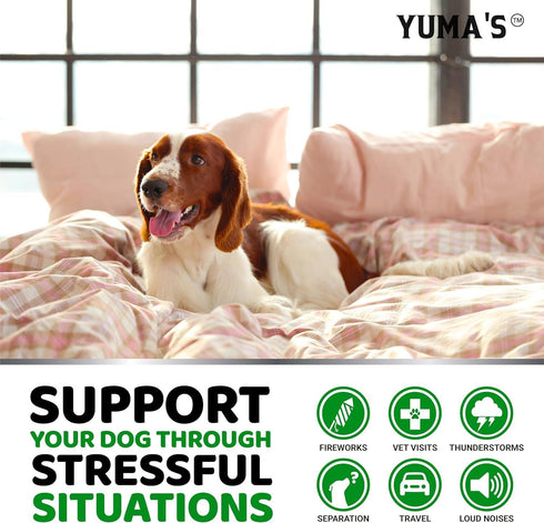 YUMA'S (2 Pack) Hemp Calming Chews for Dogs Advanced Dog Calming Treats Dog Calming Chews 340 Chews Anxiety Relief Treats Separation Aid Barking Stress Relief Melatonin Hemp Oil