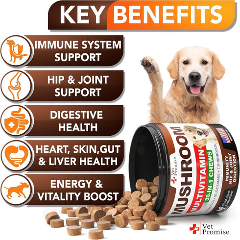 Mushroom for Dogs - 170 Chews - Turkey Tail Mushroom for Dogs - Mushroom Supplement for Dogs - Lions Mane - Reishi - Immunity Support Multivitamin - Joint Health - Energy - Gut - Skin - Dog Vitamins