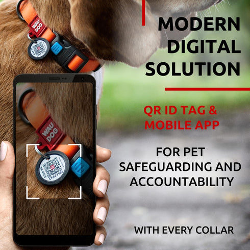 Waterproof Dog Collar Adjustable Dog Collar for Large Dogs Small and Medium Dogs Breakaway Dog Collar Waterproof with Plastic Buckle and QR Dog Tag Boy & Girl Dog Collars (Orange)