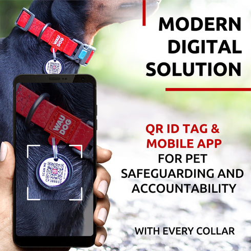 WAUDOG Waterproof Dog Collar Adjustable Dog Collar for Large Dogs Small and Medium Dogs Breakaway Dog Collar Waterproof with Plastic Buckle and QR Dog Tag Boy & Girl Dog Collars (Red)
