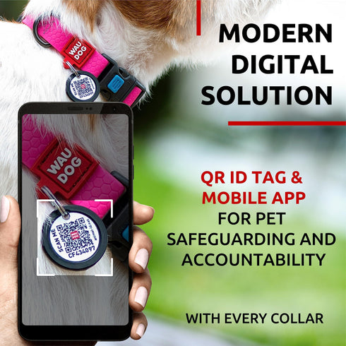 WAUDOG Waterproof Dog Collar Adjustable Dog Collar for Large Dogs Small and Medium Dogs Breakaway Dog Collar Waterproof with Plastic Buckle and QR Dog Tag Boy & Girl Dog Collars (Pink)