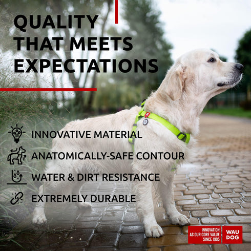 Waterproof Dog Harness Adjustable Dog Harness for Large Dogs Small and Medium Dogs Heavy Duty Dog Harness with Durable Metal Clasp and QR Dog Tag Boy & Girl Dog Harness Green (24 35in)
