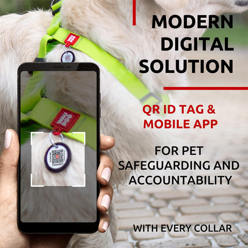 Waterproof Dog Harness Adjustable Dog Harness for Large Dogs Small and Medium Dogs Heavy Duty Dog Harness with Durable Metal Clasp and QR Dog Tag Boy & Girl Dog Harness Green (24 35in)