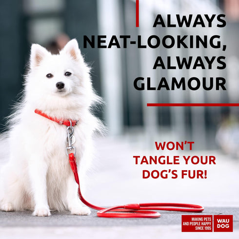 Rolled Leather Dog Leash 4Ft * 0.3 in for Small Medium and Large Dogs Heavy Duty Leather Puppy Leash for Outdoor Walking Running Training Strong Dog Leashes for Large Breed Dogs (Red)