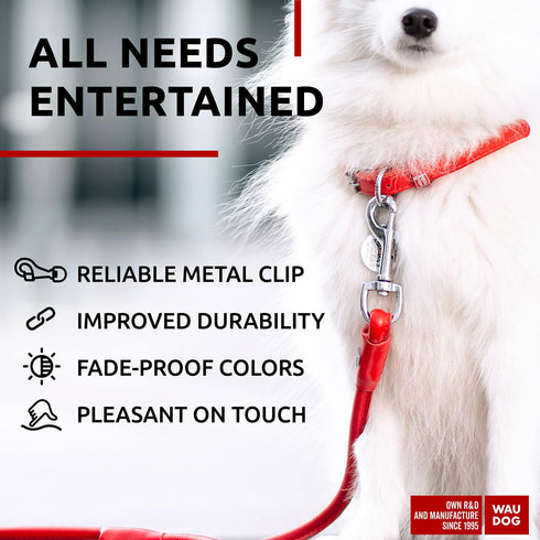 Rolled Leather Dog Leash 4Ft * 0.3 in for Small Medium and Large Dogs Heavy Duty Leather Puppy Leash for Outdoor Walking Running Training Strong Dog Leashes for Large Breed Dogs (Red)