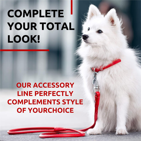 Rolled Leather Dog Leash 4Ft * 0.3 in for Small Medium and Large Dogs Heavy Duty Leather Puppy Leash for Outdoor Walking Running Training Strong Dog Leashes for Large Breed Dogs (Red)