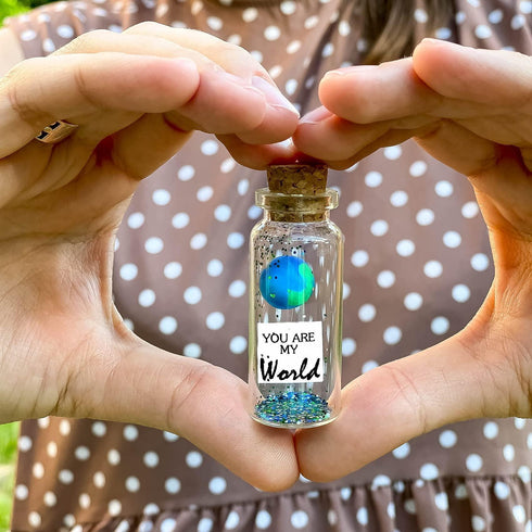 Cute Girlfriend and Boyfriend Gifts Personalized Anniversary Present for Her Him Custom Photo Birthday Gift Bottle (Green Earth You Are My World Gift Bottle)