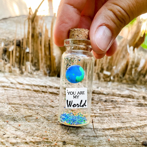 Cute Girlfriend and Boyfriend Gifts Personalized Anniversary Present for Her Him Custom Photo Birthday Gift Bottle (Green Earth You Are My World Gift Bottle)