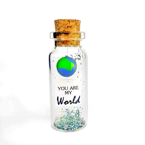 Cute Girlfriend and Boyfriend Gifts Personalized Anniversary Present for Her Him Custom Photo Birthday Gift Bottle (Green Earth You Are My World Gift Bottle)