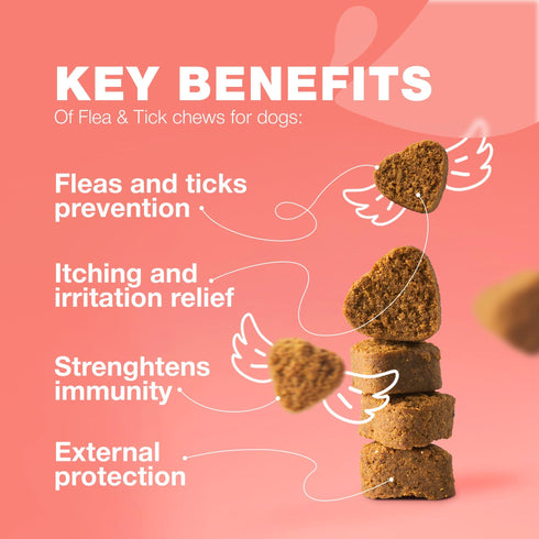 Dog Flea and Tick Treatment Chews Flea and Tick Prevention for Dogs Flea & Tick Chewables Natural Dog Flea & Tick Control Soft Treats Flea Chewables for Dogs Immune Support Supplement