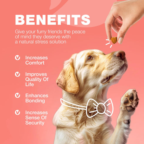 Dog Flea and Tick Treatment Chews Flea and Tick Prevention for Dogs Flea & Tick Chewables Natural Dog Flea & Tick Control Soft Treats Flea Chewables for Dogs Immune Support Supplement