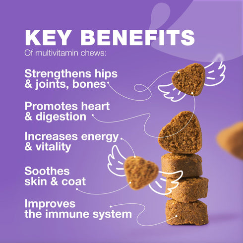 Dog Vitamins 15 in 1 Dog Multivitamin Chews with MSM for Hip & Joint Health Dog Supplement for Itchy Skin Relief Multivitamin for Dogs Immune Support with Enzymes Skin & Coat Mobility Support