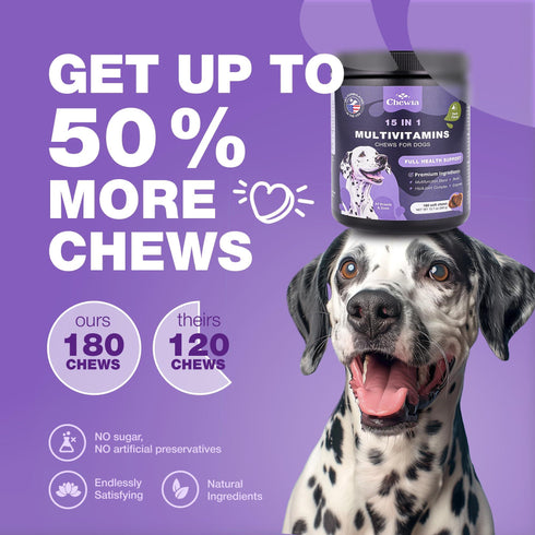 Dog Vitamins 15 in 1 Dog Multivitamin Chews with MSM for Hip & Joint Health Dog Supplement for Itchy Skin Relief Multivitamin for Dogs Immune Support with Enzymes Skin & Coat Mobility Support