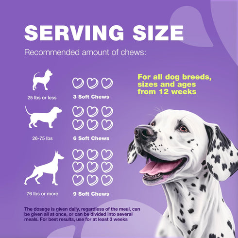 Dog Vitamins 15 in 1 Dog Multivitamin Chews with MSM for Hip & Joint Health Dog Supplement for Itchy Skin Relief Multivitamin for Dogs Immune Support with Enzymes Skin & Coat Mobility Support