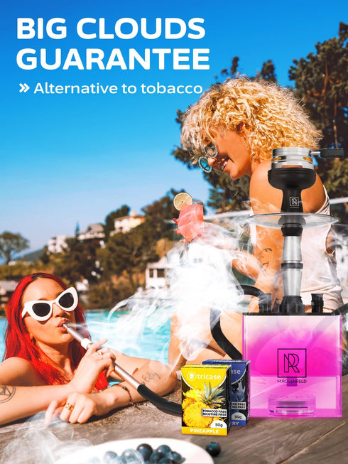 11 pcs Shisha Hookah Flavors Set 1.7 oz Each Sex on the Beach Melon Peach Hookah Flavor Mint Pineapple Double Apple Hookah Flavor Strawberry Blueberry Tropical Fruit Mix Watermelon Mango