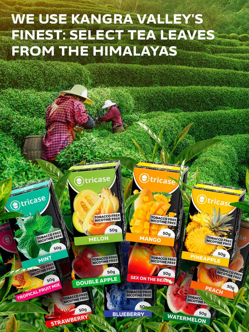 11 pcs Shisha Hookah Flavors Set 1.7 oz Each Sex on the Beach Melon Peach Hookah Flavor Mint Pineapple Double Apple Hookah Flavor Strawberry Blueberry Tropical Fruit Mix Watermelon Mango