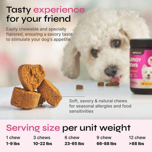 Dog Allergy Relief Chews Dog Itching Skin Relief Anti Itch Skin Health Hot Spot Treatment Seasonal Allergy Support Supplements Immune Chewable Treats Hemp Seed Oil Turmeric Quercetin
