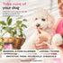 Dog Allergy Relief Chews Dog Itching Skin Relief Anti Itch Skin Health Hot Spot Treatment Seasonal Allergy Support Supplements Immune Chewable Treats Hemp Seed Oil Turmeric Quercetin
