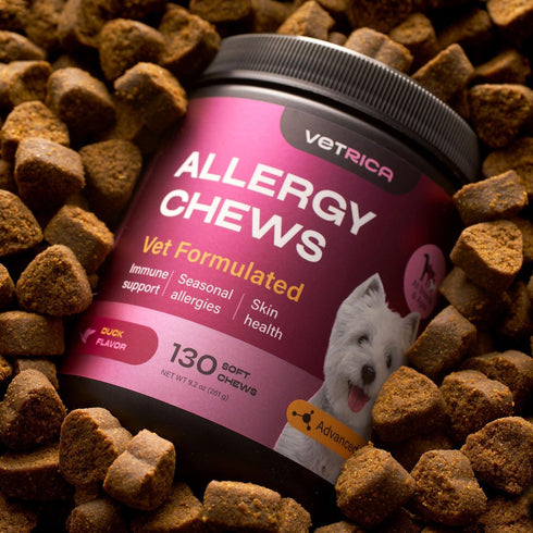 Dog Allergy Relief Chews Dog Itching Skin Relief Anti Itch Skin Health Hot Spot Treatment Seasonal Allergy Support Supplements Immune Chewable Treats Hemp Seed Oil Turmeric Quercetin