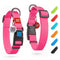 Waterproof Dog Collar Adjustable Dog Collar for Large Dogs Small and Medium Dogs Breakaway Dog Collar Waterproof with Plastic Buckle and QR Dog Tag Boy & Girl Dog Collars (Pink)
