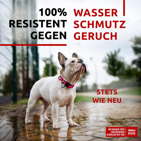 Waterproof Dog Collar Adjustable Dog Collar for Large Dogs Small and Medium Dogs Heavy Duty Dog Collars with Durable Metal Clasp and QR Dog Tag Boy & Girl Dog Collars (Pink)