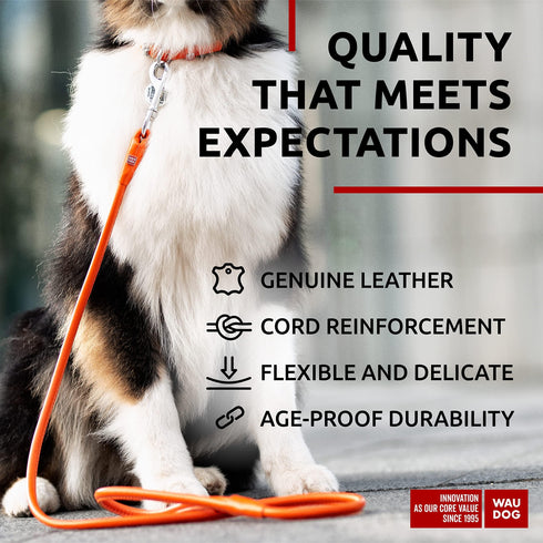 Rolled Leather Dog Leash 4Ft * 0.5 in for Small Medium and Large Dogs Heavy Duty Leather Puppy Leash for Outdoor Walking Running Training Strong Dog Leashes for Large Breed Dogs (Orange)