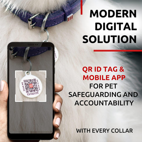 Ultra Soft Rolled Leather Dog Collar for Small Dogs Soft Padded Dog Collars for Medium Dogs Puppy Collars for Large Breed Dogs Male and Female Dog Collar