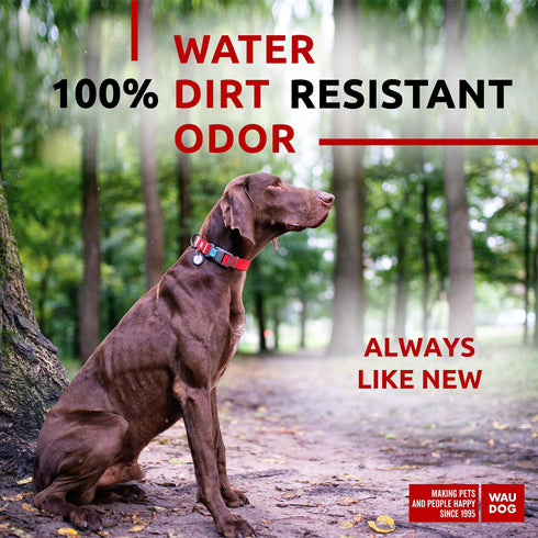 Waterproof Dog Collar Adjustable Dog Collar for Large Dogs Small and Medium Dogs Breakaway Dog Collar Waterproof with Plastic Buckle and QR Dog Tag Boy & Girl Dog Collars (Red)