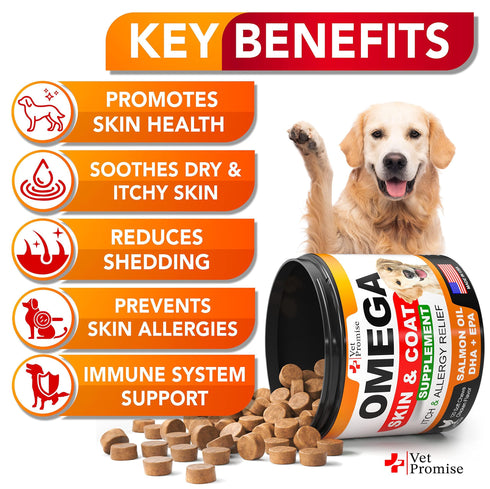 Omega 3 for Dogs Dog Skin and Coat Supplement Fish Oil for Dogs Chews Allergy and Dog Itch Relief Dog Anti Shedding Supplement Dog Dry Skin Treatment Salmon Oil Made in USA 120 Treats