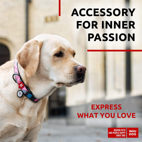 Nylon Dog Collar Adjustable Dog Collar for Large Dogs Small & Medium Dogs Breakaway Puppy Collars for Large Breed Dogs Boy & Girl Dog Collars with Durable Plastic Buckle and QR Dog Tag