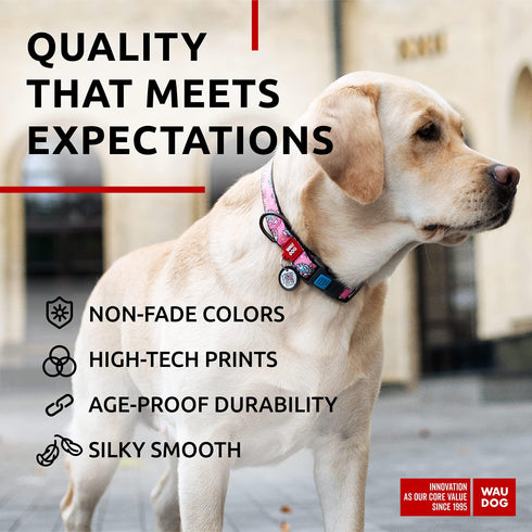 Nylon Dog Collar Adjustable Dog Collar for Large Dogs Small & Medium Dogs Breakaway Puppy Collars for Large Breed Dogs Boy & Girl Dog Collars with Durable Plastic Buckle and QR Dog Tag