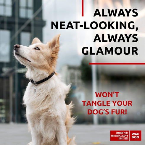 Ultra Soft Rolled Leather Dog Collar for Small Dogs Soft Padded Dog Collars for Medium Dogs Puppy Collars for Large Breed Dogs Male and Female Dog Collar