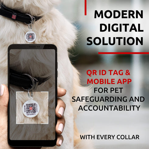 Ultra Soft Rolled Leather Dog Collar for Small Dogs Soft Padded Dog Collars for Medium Dogs Puppy Collars for Large Breed Dogs Male and Female Dog Collar