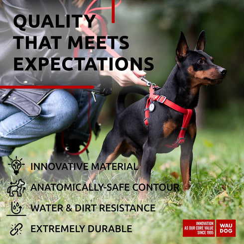 Waterproof Dog Harness Adjustable Dog Harness for Large Dogs Small and Medium Dogs Heavy Duty Dog Harness with Durable Metal Clasp and QR Dog Tag Boy & Girl Dog Harness Red (16 22in)
