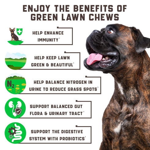 Green Lawn Chews for Dogs - Natural Dog Urine Neutralizer for Lawn with Cranberry, Probiotics, ACV & Digestive Enzymes - 180 Chews for Healthy Bladder, Urinary Tract - Grass Burn, Yellow Spots Treats