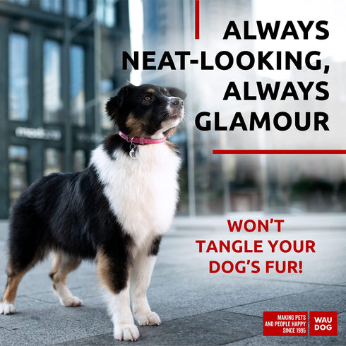 Ultra Soft Rolled Leather Dog Collar for Small Dogs Soft Padded Dog Collars for Medium Dogs Puppy Collars for Large Breed Dogs Male and Female Dog Collar