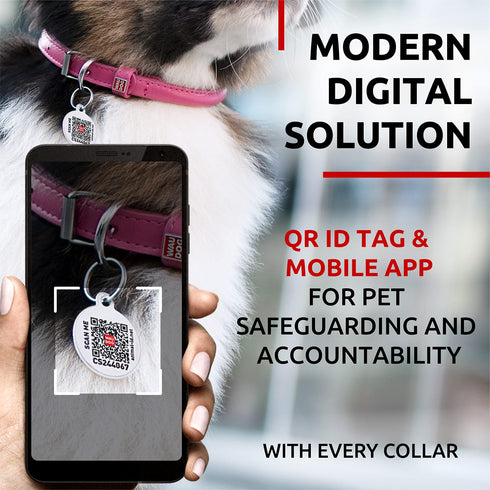 Ultra Soft Rolled Leather Dog Collar for Small Dogs Soft Padded Dog Collars for Medium Dogs Puppy Collars for Large Breed Dogs Male and Female Dog Collar