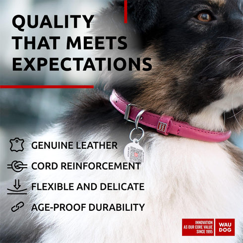 Ultra Soft Rolled Leather Dog Collar for Small Dogs Soft Padded Dog Collars for Medium Dogs Puppy Collars for Large Breed Dogs Male and Female Dog Collar