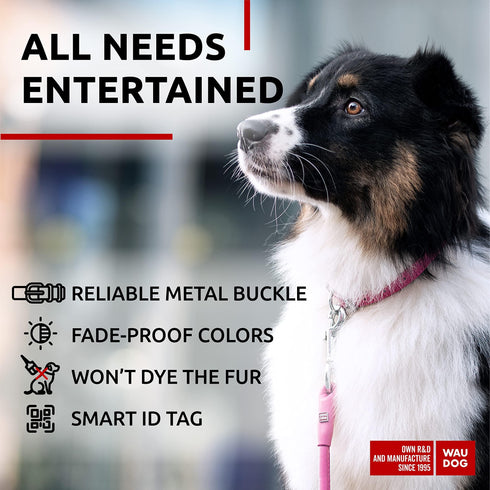 Ultra Soft Rolled Leather Dog Collar for Small Dogs Soft Padded Dog Collars for Medium Dogs Puppy Collars for Large Breed Dogs Male and Female Dog Collar