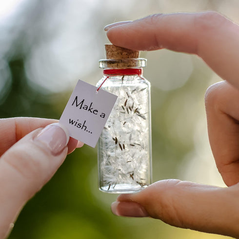 Tiny Magical Message in a Bottle Gift Idea Classy Inspirational Gifts for Him and Her Unique Presents for Women and Men (White Dandelion Make a Wish Gift Bottle)