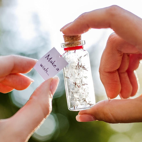 Tiny Magical Message in a Bottle Gift Idea Classy Inspirational Gifts for Him and Her Unique Presents for Women and Men (White Dandelion Make a Wish Gift Bottle)