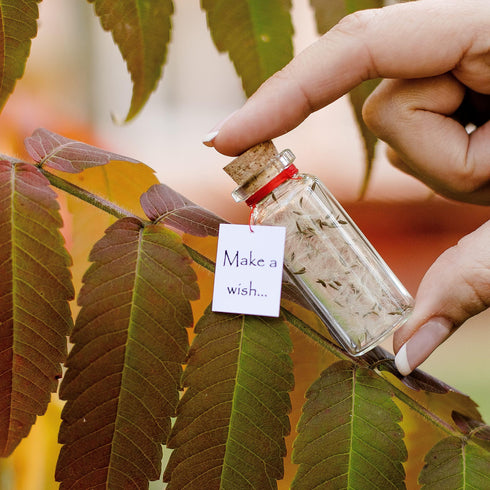 Tiny Magical Message in a Bottle Gift Idea Classy Inspirational Gifts for Him and Her Unique Presents for Women and Men (White Dandelion Make a Wish Gift Bottle)